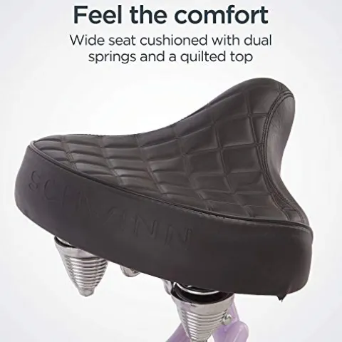 Schwinn Adult Beach Cruiser Bike Purple