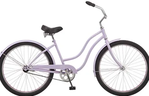 Schwinn Adult Beach Cruiser Bike Purple
