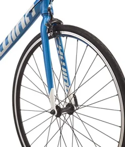Schwinn Fastback AL Claris Road Bike Blue