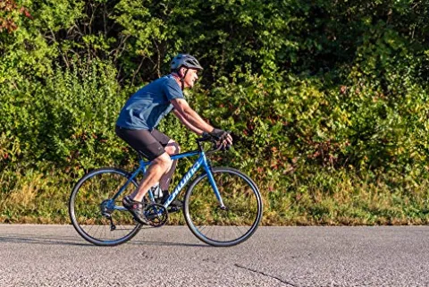 Schwinn Fastback AL Claris Performance Road Bike Blue