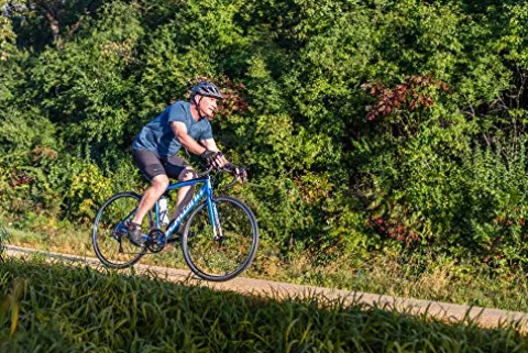 Schwinn Fastback AL Claris Performance Road Bike Blue