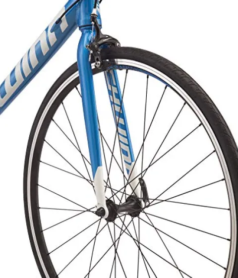 Schwinn Fastback AL Claris Performance Road Bike Blue