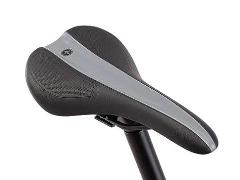 Schwinn Fastback AL Disc Sora Adult Performance Road Bike Grey