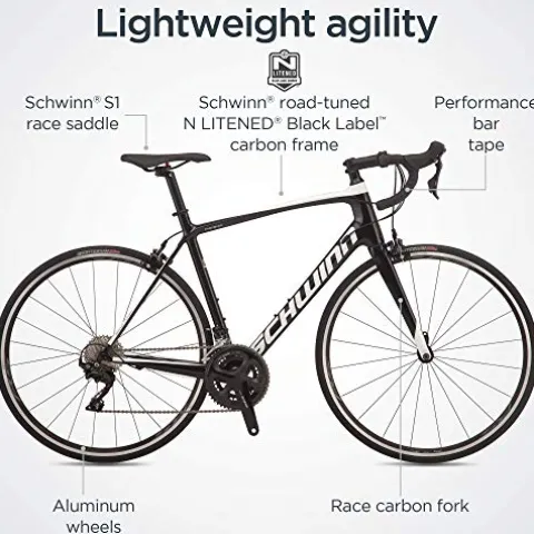 Schwinn Fastback Carbon Road Bike Matte Black