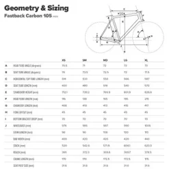 Schwinn Fastback Carbon Road Bike Matte Black