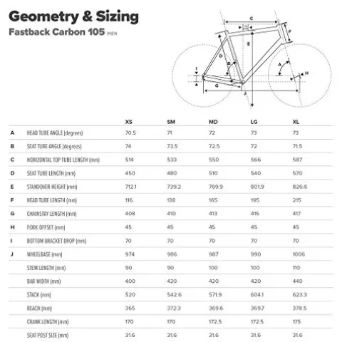 Schwinn Fastback Carbon Road Bike Matte Black