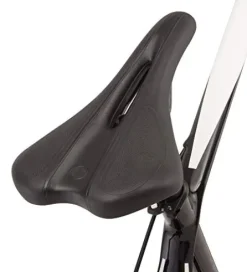 Schwinn Fastback Carbon Road Bike Matte Black