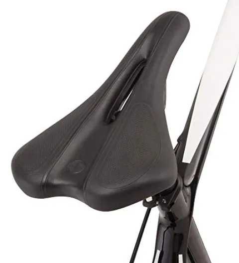 Schwinn Fastback Carbon Road Bike Matte Black