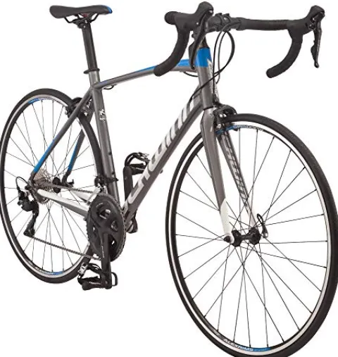 Schwinn Fastback Carbon Road Bike AL105 48cm Charcoal