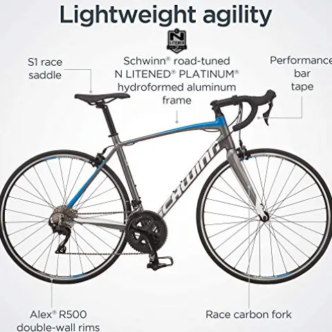 Schwinn Fastback Carbon Road Bike Charcoal