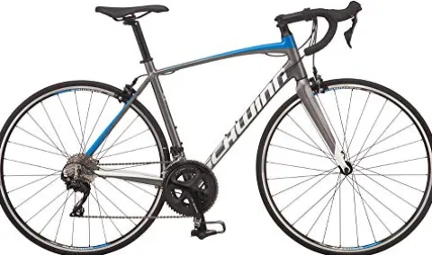Schwinn Fastback Carbon Road Bike Charcoal
