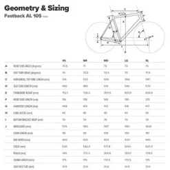 Schwinn Fastback Carbon Road Bike Charcoal