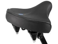 Schwinn Huron Adult Beach Cruiser Bike 26-Inch Black