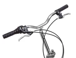 Schwinn Loop Adult Folding Bike 20-inch 7-Speed Drivetrain Titanium