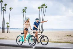 Schwinn Mikko Adult Beach Cruiser Bike Navy