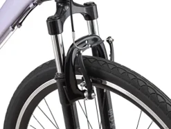 Schwinn Network 3.5 Hybrid Bike Purple