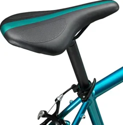 Schwinn Phocus 1400 Adult Road Bike 14-Speed 43cm Teal