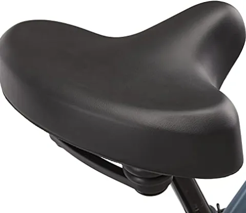 Schwinn Regioneer Mens Hybrid Comfort Bike Blue