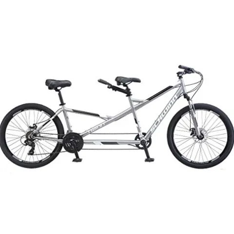 Schwinn Twinn Classic Tandem Adult Beach Cruiser Bike Grey