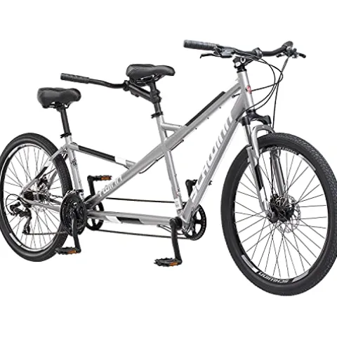 Schwinn Twinn Classic Tandem Adult Beach Cruiser Bike Grey