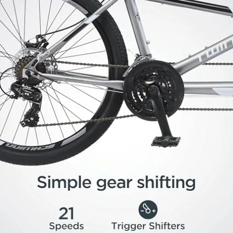 Schwinn Twinn Classic Tandem Adult Beach Cruiser Bike Grey