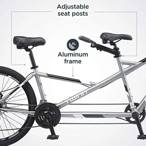 Schwinn Twinn Classic Tandem Adult Beach Cruiser Bike Grey