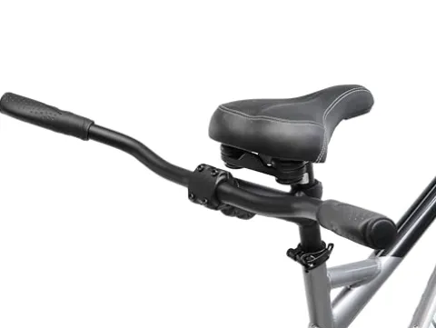 Schwinn Twinn Classic Tandem Adult Beach Cruiser Bike Grey