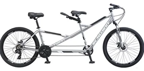 Schwinn Twinn Classic Tandem Adult Beach Cruiser Bike Grey