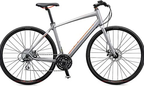 Schwinn Vantage F2 Sport Hybrid Bike 24-Speed Matte Grey