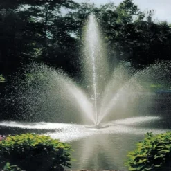 Scott Aerator Clover Big Shot Fountain 1/2 HP 115V Black