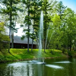 Scott Aerator Clover Big Shot Fountain 1 HP 115V Black