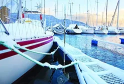 Scott Aerator De-Icer for Lakes & Ponds 1HP 115V Stainless Steel Dock Mount