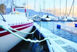 Scott Aerator De-Icer for Lakes & Ponds 1/3 HP 115V Stainless Steel Dock Mount