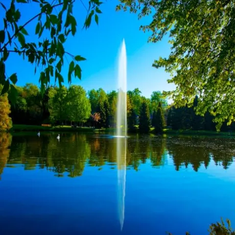 Scott Aerator Gusher Fountain 1/2 HP 230V Decorative Pond Aerator