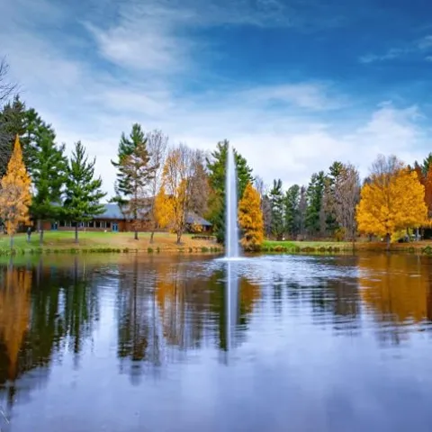 Scott Aerator Gusher Fountain 1/2 HP 230V Decorative Pond Aerator