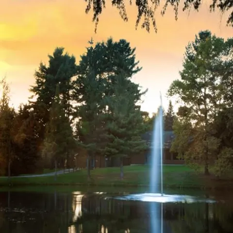 Scott Aerator Gusher Fountain 1 HP 115V Decorative Pond Aerator with 100 ft Electric Cord