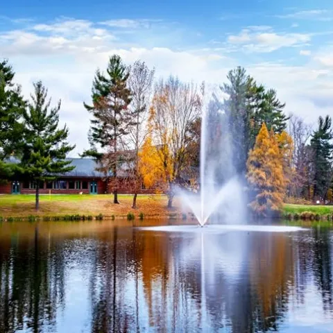 Scott Aerator Skyward Fountain 1 HP 230V Pond Aerator with 200 ft. Electric Cord