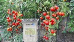 Soil Moist SAP Commercial Agriculture Grade Potassium Polymer 45 LB White