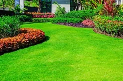 Soil Moist SAP Super Absorbent Polymer 45 Pounds