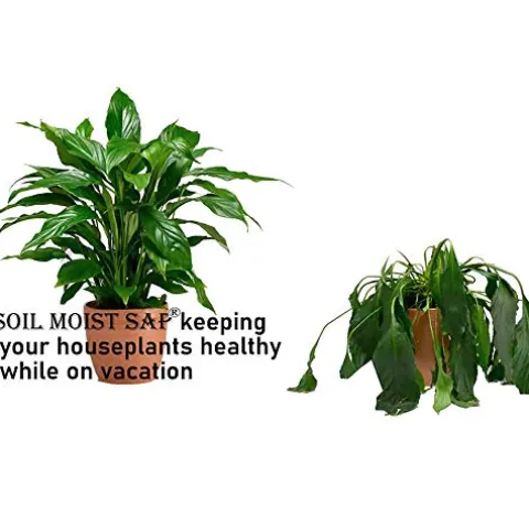 Soil Moist SAP Super Absorbent Polymer Water Retaining Crystal for Plants White 45 Pounds