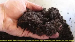 Soil Moist SAP Water Storing Crystals Polymer Small Granular 20-100 Mesh White