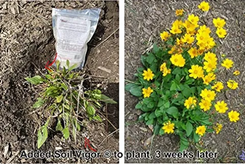 Soil Vigor Commercial Grade Super Absorbent Polymer Water Crystal 45 Pound Clear