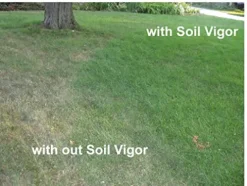 Soil Vigor Plant Survival Solution Without Water (45 Pounds) White