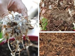 Soil Vigor Potassium Polyacrylate Water-Retaining Agent for Plants 45 lbs