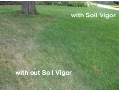 Soil Vigor Potassium Polyacrylate Superabsorbent Soil Amendment 45 lbs White