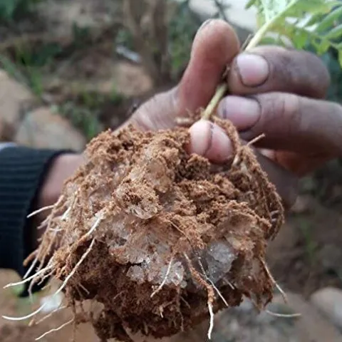 Soil Vigor Potassium Polyacrylate Superabsorbent Soil Amendment 45 lbs White