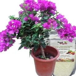 Soil Vigor Potassium Polymer Water Storing Crystals Gel 45 Pounds White