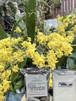 Soil Vigor Potassium SAP for Efficient Watering and Fertilization 40 Pounds