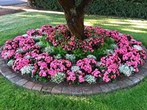 Soil Vigor Potassium SAP for Efficient Watering and Fertilization 40 Pounds