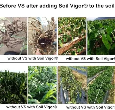 Soil Vigor Potassium SAP for Efficient Watering and Fertilization 40 Pounds